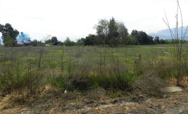Sitio en Arriendo en Chicureo Centro