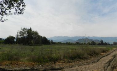 Sitio en Arriendo en Chicureo Centro