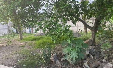 TERRENO EN VENTA EN LOMAS DEL PEDREGAL JIUTEPEC MORELOS CESIÓN DE DERE