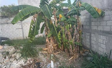 TERRENO EN VENTA EN LOMAS DEL PEDREGAL JIUTEPEC MORELOS CESIÓN DE DERE