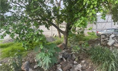 TERRENO EN VENTA EN LOMAS DEL PEDREGAL JIUTEPEC MORELOS CESIÓN DE DERE