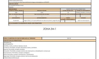 Sitio en Venta en Gran Terreno San Pedro Viejo Inmobiliaria/Inversionistas