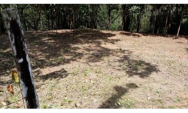 TERRENO CERRO AZUL VENTA 1,917MTS