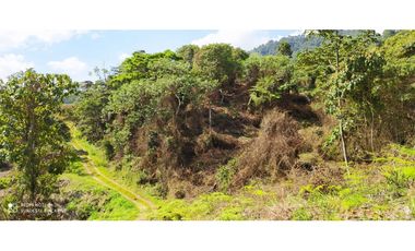VENTA LOTE LA ESTRELLA ANTIOQUIA