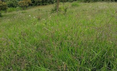 Venta finca ganadera y agrícola Amagá