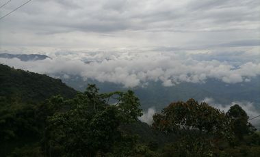 Venta finca ganadera y agrícola Amagá