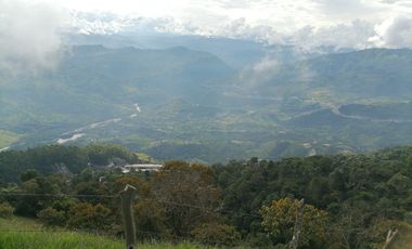 Venta finca ganadera y agrícola Amagá