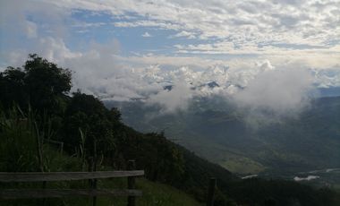 Venta finca ganadera y agrícola Amagá