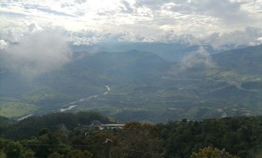 Venta finca ganadera y agrícola Amagá