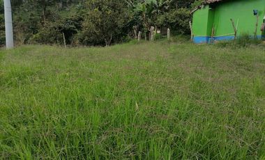 Venta finca ganadera y agrícola Amagá
