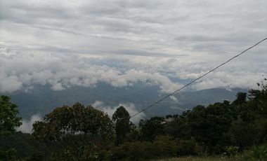 Venta finca ganadera y agrícola Amagá