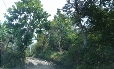 TERRENO CERCA DEL VALLE DE ANTÓN