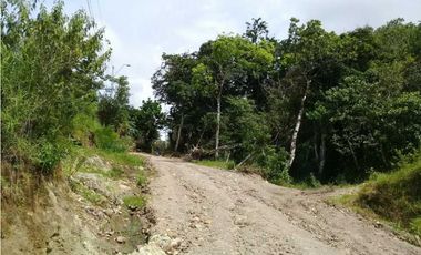 TERRENO CERCA DEL VALLE DE ANTÓN