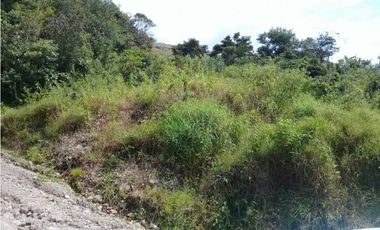 TERRENO CERCA DEL VALLE DE ANTÓN