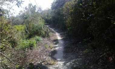 TERRENO CERCA DEL VALLE DE ANTÓN