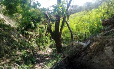 TERRENO CERCA DEL VALLE DE ANTÓN