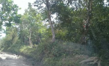 TERRENO CERCA DEL VALLE DE ANTÓN