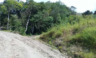 TERRENO CERCA DEL VALLE DE ANTÓN