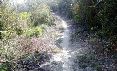 TERRENO CERCA DEL VALLE DE ANTÓN