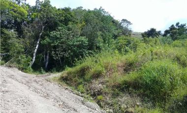 TERRENO CERCA DEL VALLE DE ANTÓN