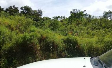 TERRENO CERCA DEL VALLE DE ANTÓN