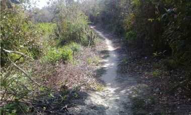 TERRENO CERCA DEL VALLE DE ANTÓN