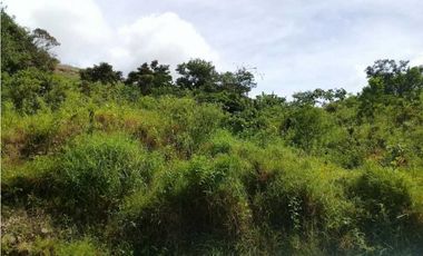 TERRENO CERCA DEL VALLE DE ANTÓN