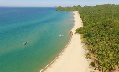 Beach lot for sale in Negros area size 2000 square meters