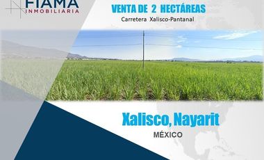 2 HAS EN VENTA EN CARR. XALISCO - PANTANAL (VER. DISP)