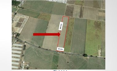 2 HAS EN VENTA EN CARR. XALISCO - PANTANAL (VER. DISP)