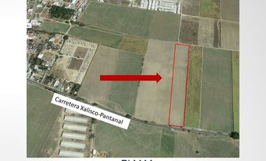 2 HAS EN VENTA EN CARR. XALISCO - PANTANAL (VER. DISP)