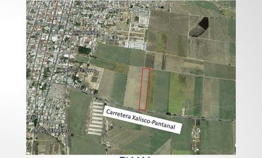 2 HAS EN VENTA EN CARR. XALISCO - PANTANAL (VER. DISP)