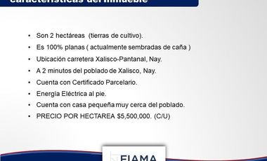 2 HAS EN VENTA EN CARR. XALISCO - PANTANAL (VER. DISP)