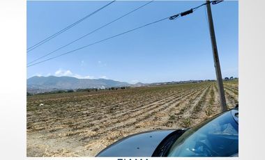 2 HAS EN VENTA EN CARR. XALISCO - PANTANAL (VER. DISP)