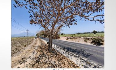 2 HAS EN VENTA EN CARR. XALISCO - PANTANAL (VER. DISP)