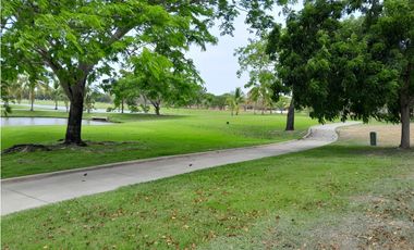 LOTE DE PLAYA A LA VENTA BUENAVENTURA PH FAIRWAYS