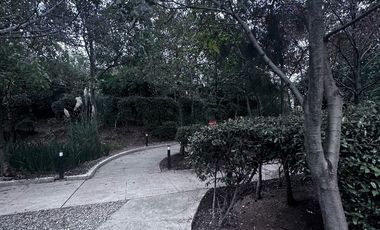 Venta CItta San Jeronimo