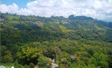 ARRIENDO APARTAMENTO LA FRANCIA MANIZALES | ARRIENDOS MANIZALES