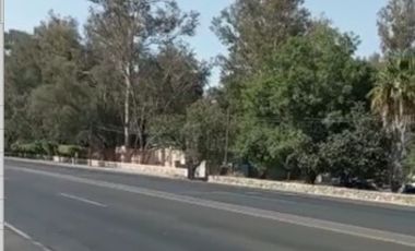 Terreno en Tala San Isidro Mazatepec