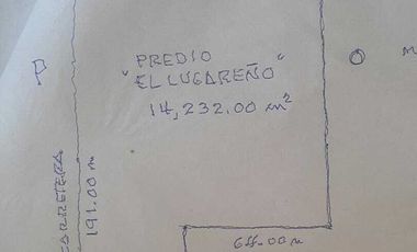 Terreno en Tala San Isidro Mazatepec