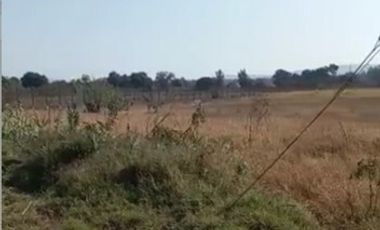 Terreno en Tala San Isidro Mazatepec