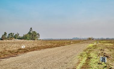 Venta de Parcelas de Terreno cerca de Talca Septima Region