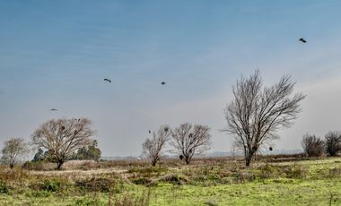 Venta de Parcelas de Terreno cerca de Talca Septima Region