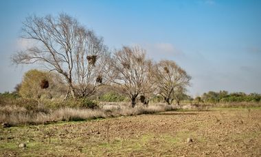 Venta de Parcelas de Terreno cerca de Talca Septima Region