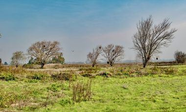Venta de Parcelas de Terreno cerca de Talca Septima Region