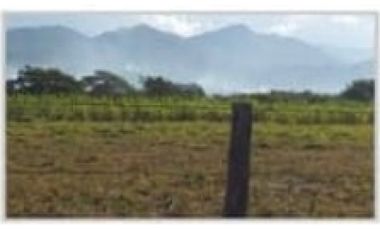 VENDO FINCA CON GANADO