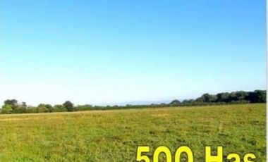 VENDO FINCA CON GANADO