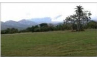 VENDO FINCA CON GANADO
