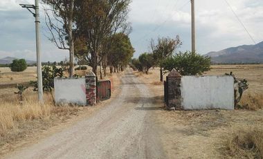 TERRENO EN VENTA EN SAN MIGUEL DE ALLENDE DENTRO DE DESARROLLO VINÍCOLA Y ECUESTRE  A PRECIO DE PREVENTA