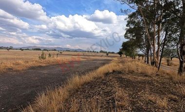 TERRENO EN VENTA EN SAN MIGUEL DE ALLENDE DENTRO DE DESARROLLO VINÍCOLA Y ECUESTRE  A PRECIO DE PREVENTA